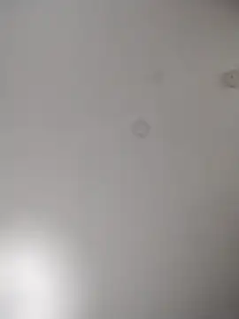 geilerschwanz64 online show from October 28, 2025, 9:30 am