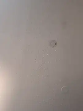 geilerschwanz64 online show from March 18, 2025, 3:55 pm