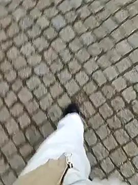 domexib online show from February 15, 2025, 5:39 pm