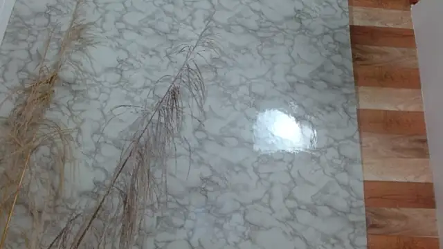 allysonn fox online show from February 6, 2025, 10:53 pm