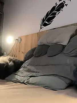 Snapshot of bogland33 chatting on January 9, 2026, 7:43 pm bogland33 online show from January 9, 2026, 7:43 pm