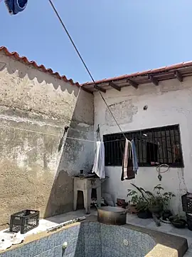 Leo bunny hot online show from February 27, 2025, 5:26 pm