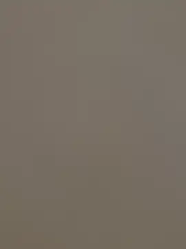 ADilil online show from January 15, 2026, 3:10 am