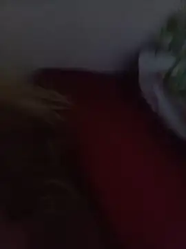 NatashaDormat online show from November 26, 2025, 2:11 am