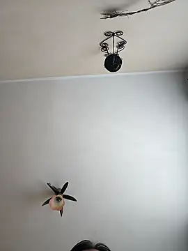 vulpe8400 online show from April 18, 2026, 9:00 am