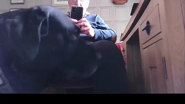 Adamdaddybear online show from March 21, 2025, 2:51 pm