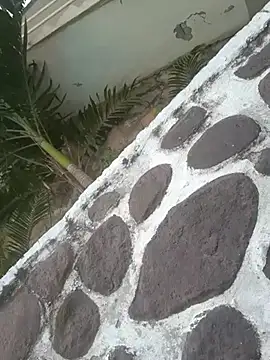 elcobin online show from March 18, 2025, 5:23 pm