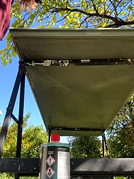 ItalianiMuli online show from September 20, 2025, 11:48 am