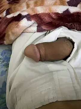 Snapshot of hamed-697 chatting on December 19, 2024, 8:02 am hamed-697 online show from December 19, 2024, 8:02 am