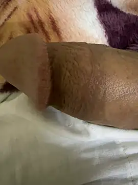 Snapshot of hamed-697 chatting on December 12, 2024, 9:48 pm hamed-697 online show from December 12, 2024, 9:48 pm