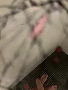 lescro95  online show from October 27, 2025, 7:53 am