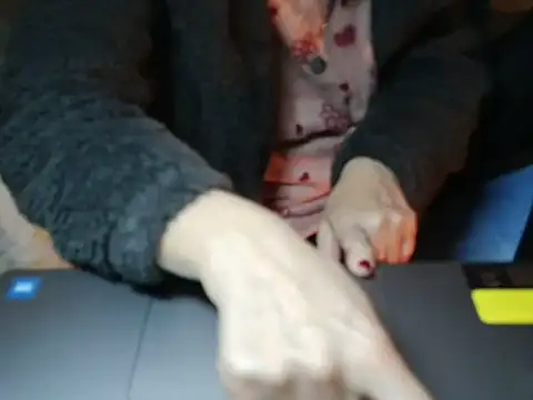 VeneRed online show from January 14, 2026, 9:51 pm