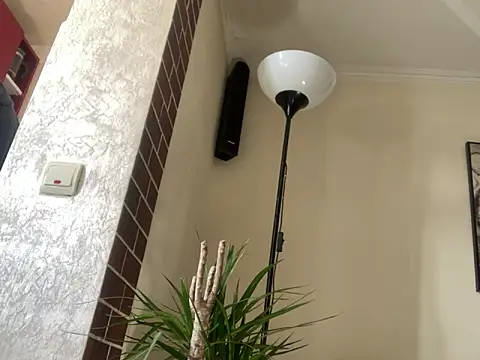 mesetti online show from February 16, 2025, 11:59 am