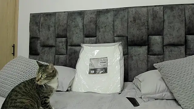 BastianFerrari online show from December 18, 2024, 10:02 pm