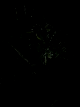 Erick-90 online show from September 23, 2025, 1:34 am