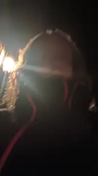 DrownMentallyyy online show from April 5, 2026, 12:50 am