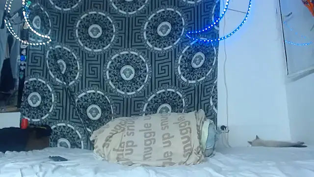 Snapshot of Adam_hard_ chatting on November 26, 2025, 11:27 pm Adam hard online show from November 26, 2025, 11:27 pm