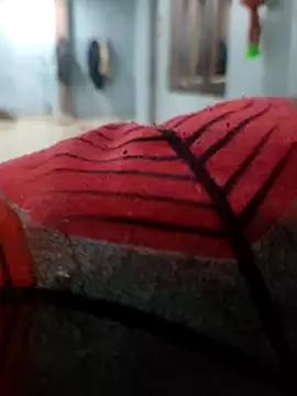 Varun1799 online show from February 25, 2025, 3:53 pm