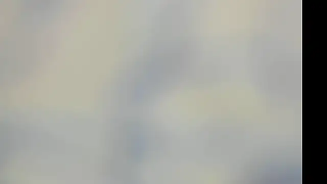 elis gabbi online show from November 29, 2025, 3:12 pm