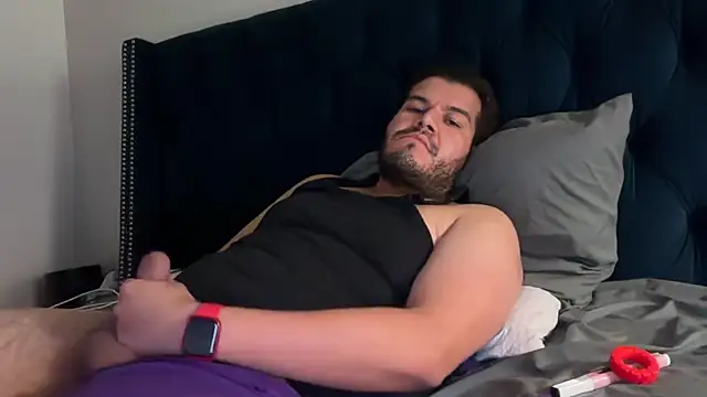 bearcloudcomputa online show from December 3, 2024, 8:00 am