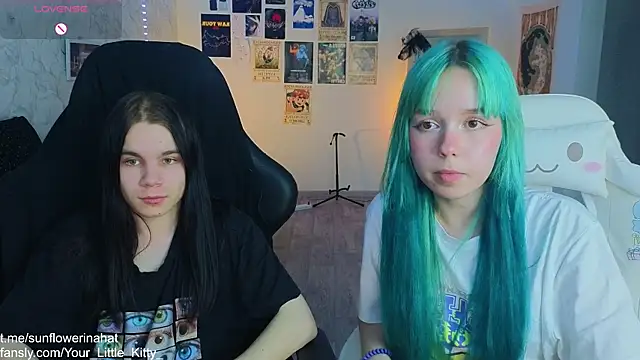 812sunflowerinahat online show from March 14, 2025, 11:45 am