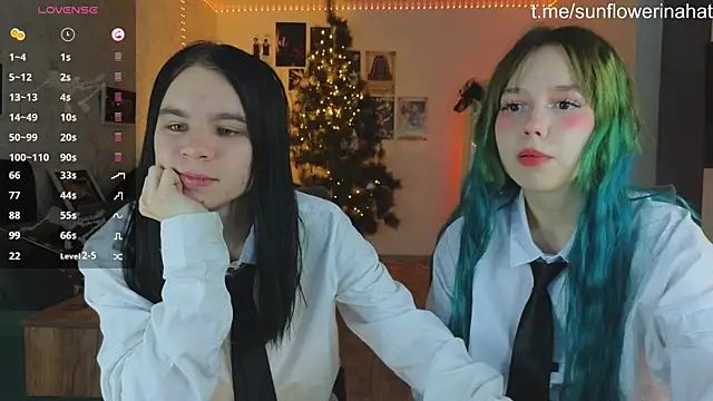 812sunflowerinahat online show from December 10, 2024, 5:28 am