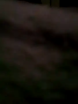 BIGBLACKCOOCK24- online show from March 2, 2025, 5:01 am