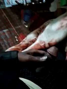 Antor1234 online show from December 15, 2024, 6:37 pm