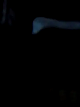 Antor1234 online show from February 23, 2025, 5:07 pm