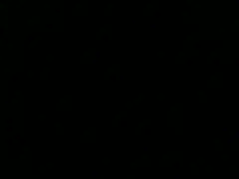 culalimer online show from November 15, 2025, 1:26 pm