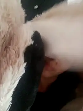 giuliana andrade online show from February 19, 2025, 9:28 am