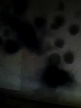 Leocesar37 online show from February 10, 2026, 6:01 am