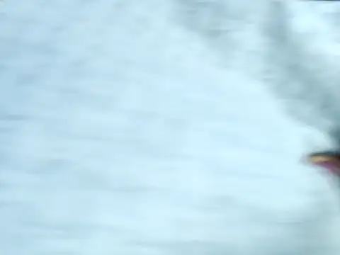 Muktha online show from October 14, 2025, 4:40 pm