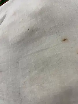 elSexi online show from December 2, 2025, 1:17 am