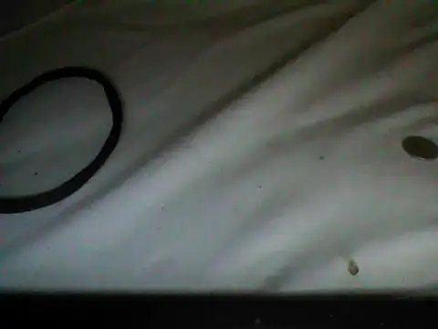 frank32love online show from November 9, 2025, 6:50 am