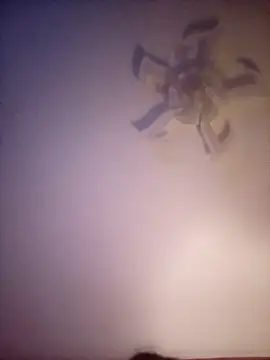 Fiesty findom40 online show from January 10, 2026, 2:29 am