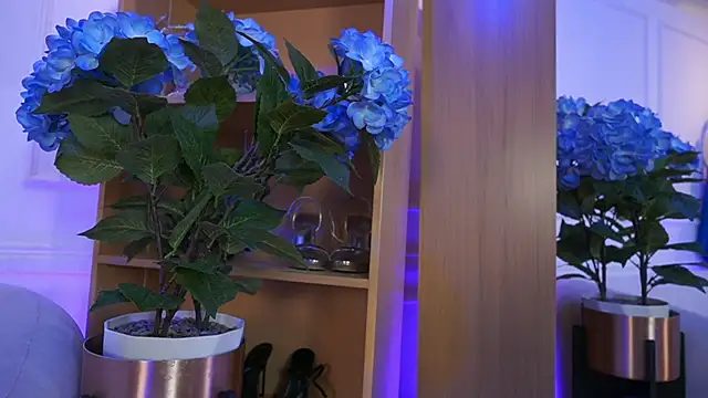 Snapshot of elasummer chatting on February 4, 2026, 2:23 pm elasummer online show from February 4, 2026, 2:23 pm