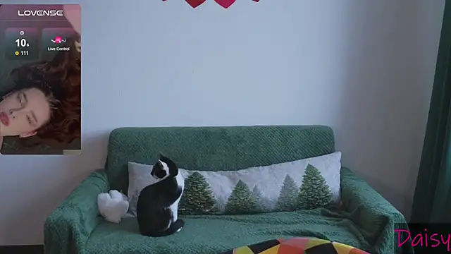 CookyDaisy online show from February 9, 2025, 7:15 am