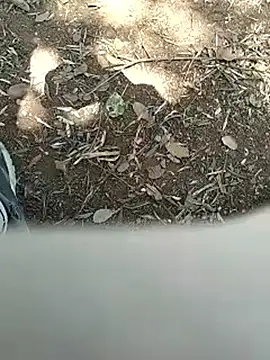 mehdi-l7away online show from April 16, 2026, 12:06 pm