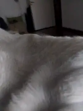 BURN666ING online show from March 10, 2026, 6:50 am