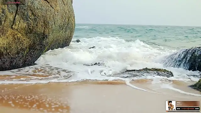  sex in paradise  online show from October 20, 2025, 12:34 am