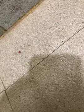 satrr xxx online show from December 4, 2024, 1:03 pm