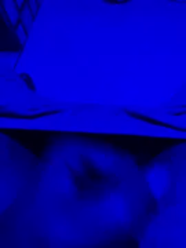 satrr xxx online show from October 20, 2025, 1:51 am