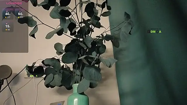 Your dream Alice online show from February 25, 2025, 7:49 pm