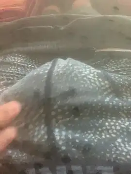 solomec online show from October 12, 2025, 7:43 am