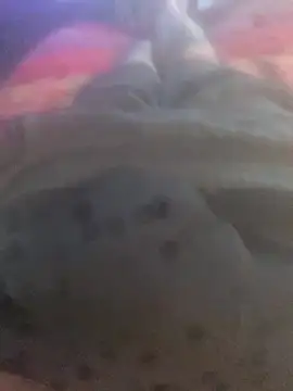 solomec online show from September 25, 2025, 6:41 am