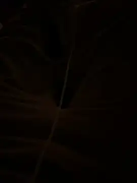 themasteer69 online show from January 17, 2026, 8:45 pm