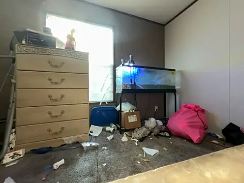 IvanaPlenty online show from September 11, 2025, 1:55 pm