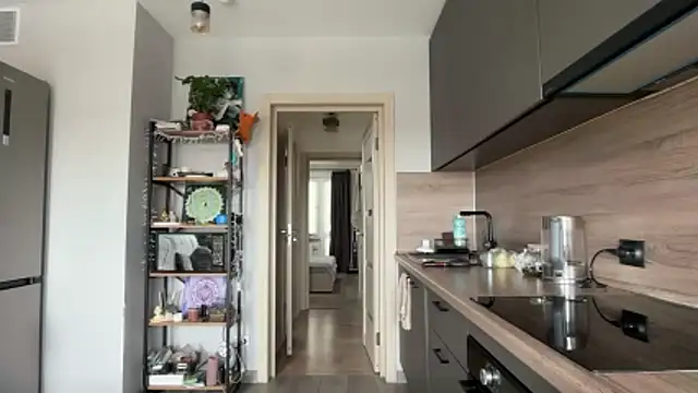 jainesummer online show from April 22, 2026, 9:49 am