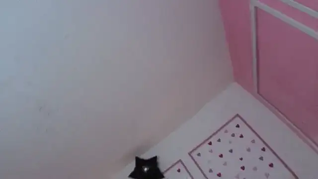 stephania t online show from January 10, 2026, 12:33 pm